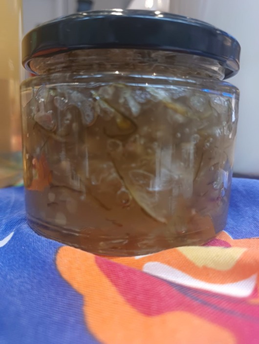 Compota de Mamão Verde Ralado (200g)